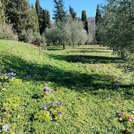 Agriturismo Natura E Salute San Gimignano Exterior foto
