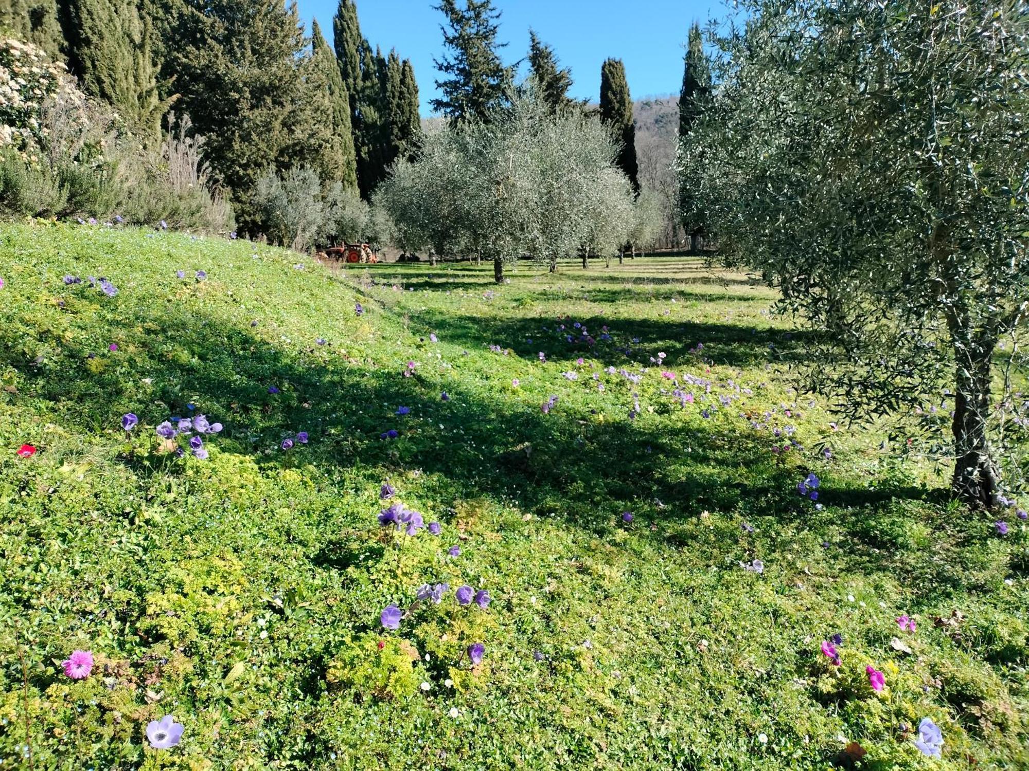 Agriturismo Natura E Salute San Gimignano Exterior foto